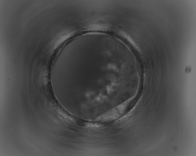 X0000091551213200708241748