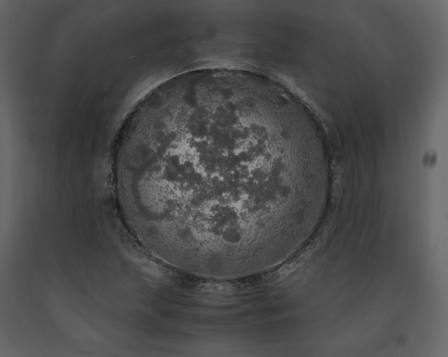 X0000091551215200708241748