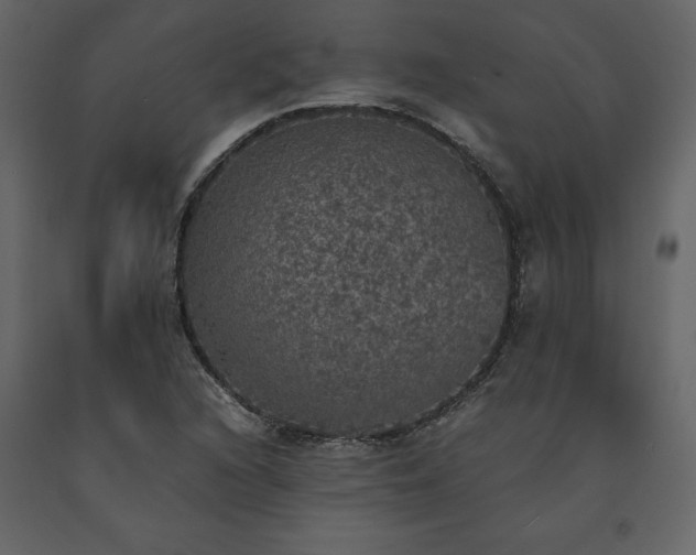 X0000091551216200708241748