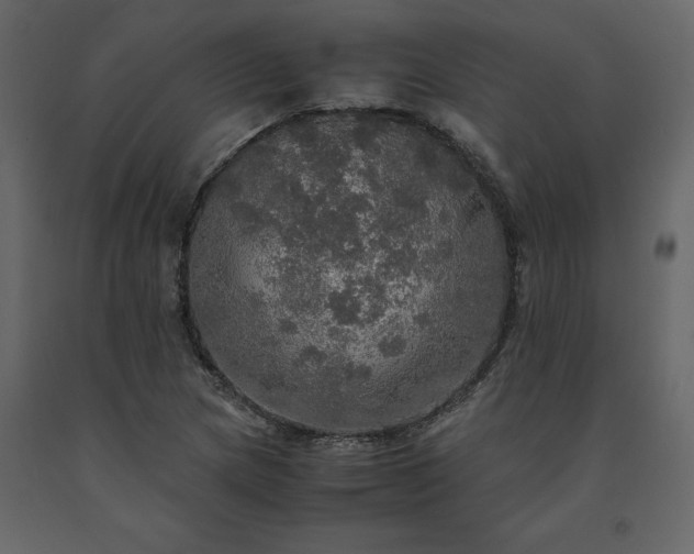 X0000091551217200708241748