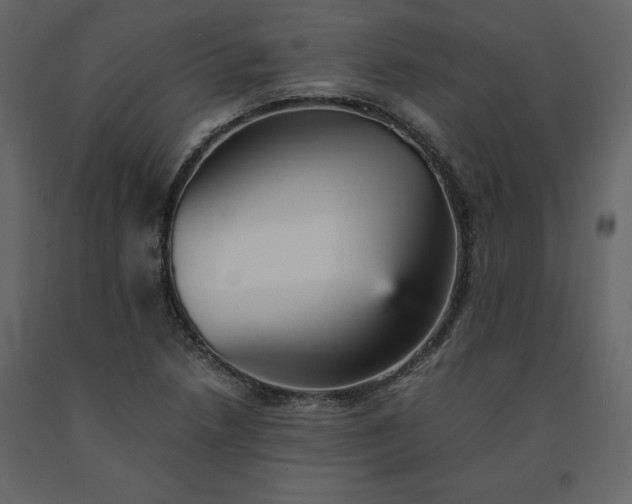 X0000091551218200708241748