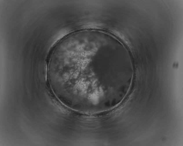 X0000091551219200708241748