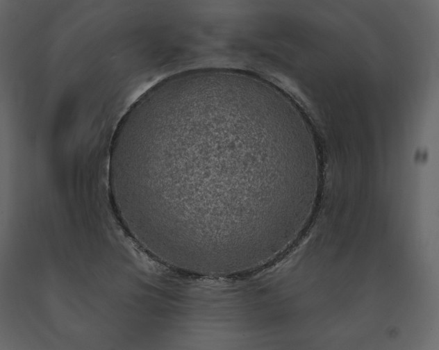 X0000091551220200708241748