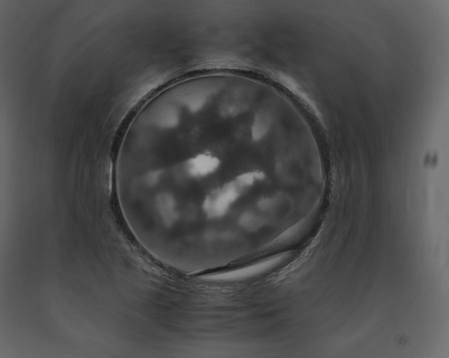 X0000091551221200708241748