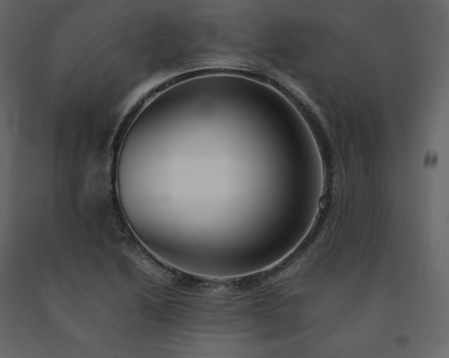 X0000091551222200708241748