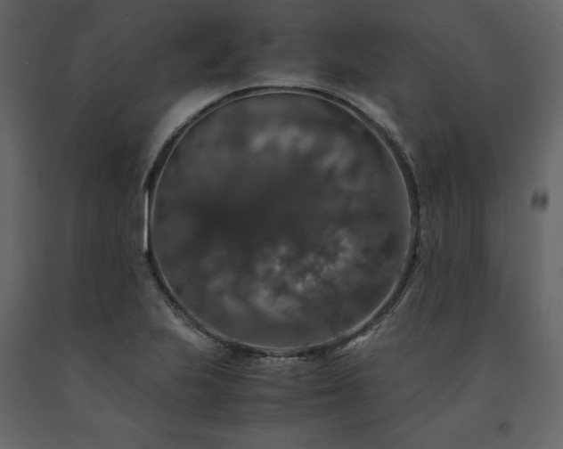 X0000091551223200708241748