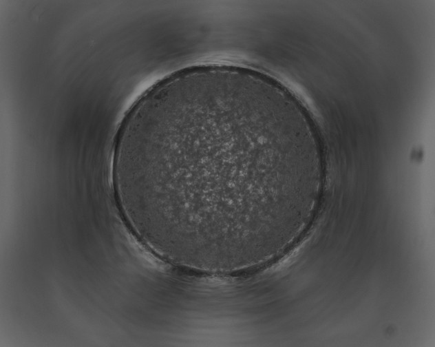 X0000091551224200708241748