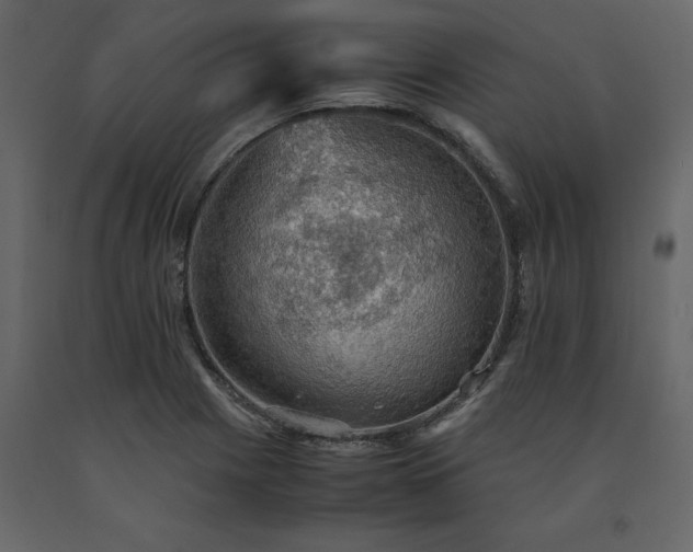 X0000091551225200708241748