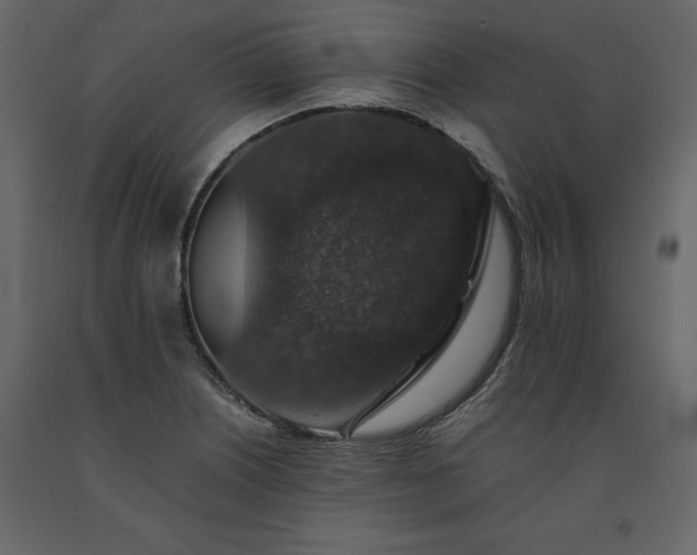 X0000091551226200708241748