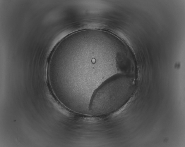 X0000091551227200708241748
