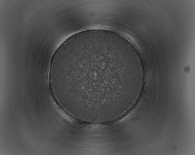 X0000091551228200708241748