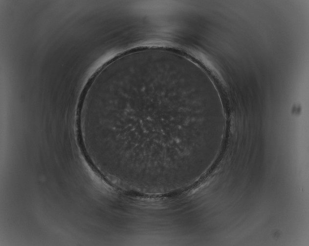 X0000091551229200708241748