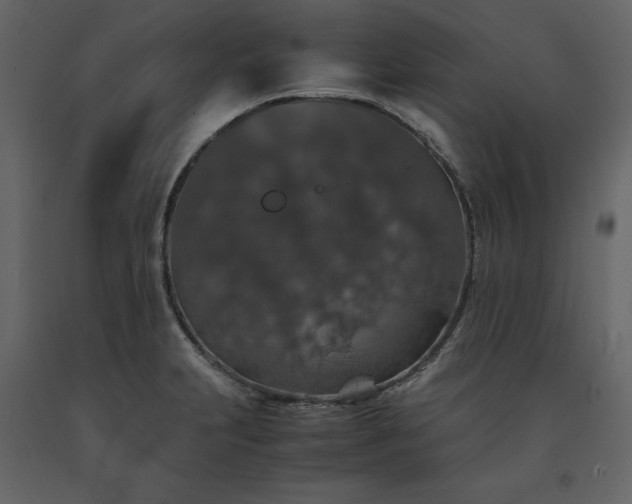 X0000091551231200708241748