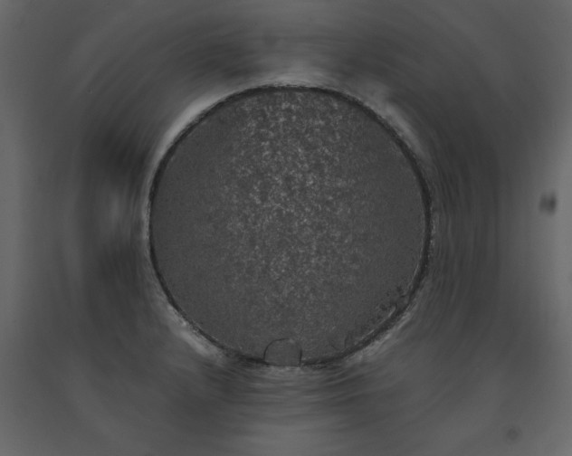 X0000091551232200708241748