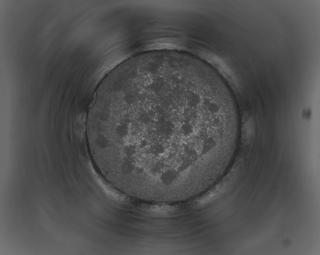 X0000091551233200708241748