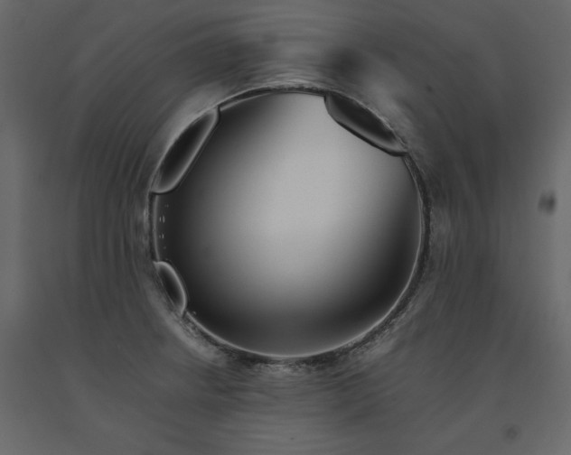 X0000091551234200708241748