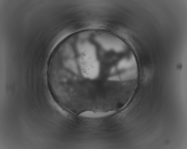 X0000091551235200708241748