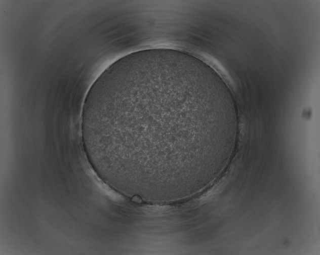 X0000091551236200708241748