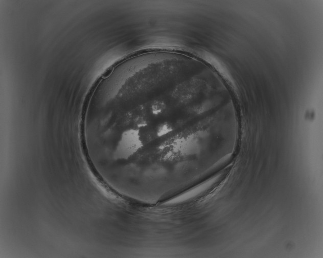 X0000091551237200708241748