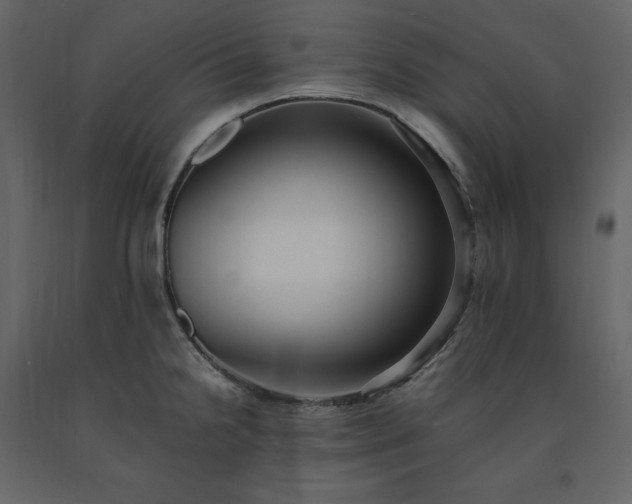 X0000091551238200708241748