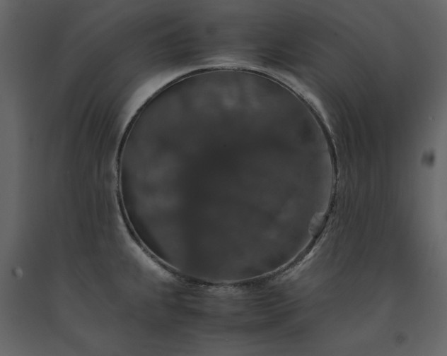 X0000091551239200708241748