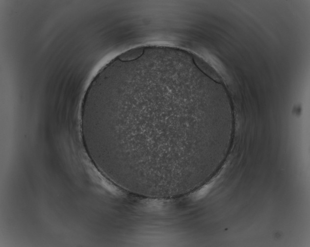 X0000091551240200708241748