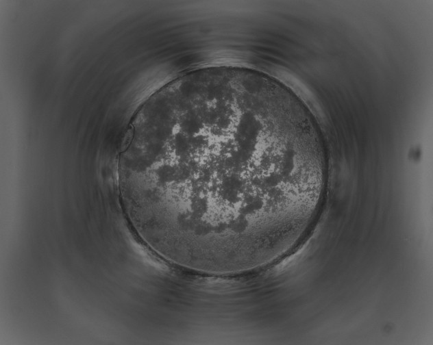 X0000091551241200708241748