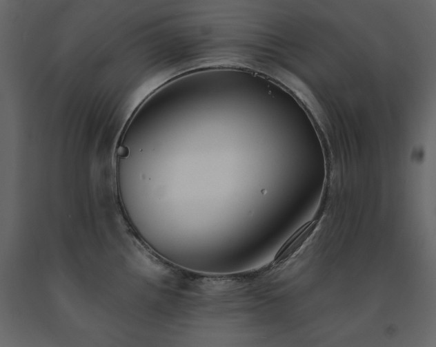 X0000091551242200708241748