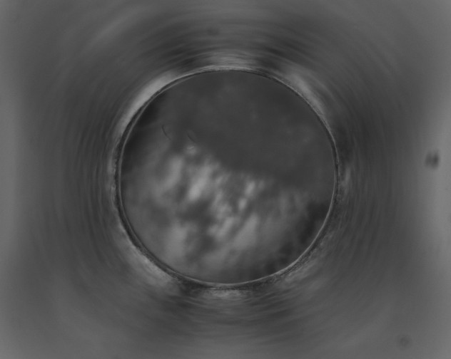 X0000091551243200708241748