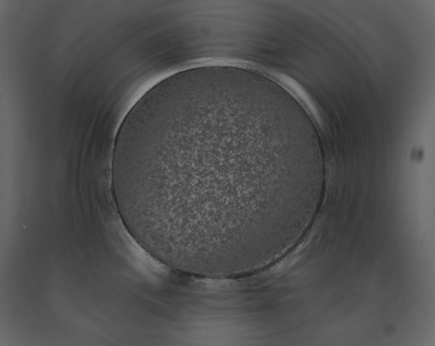 X0000091551244200708241748