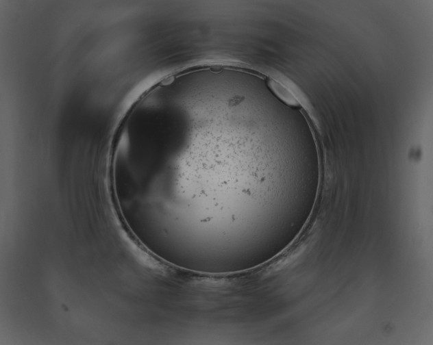 X0000091551245200708241748