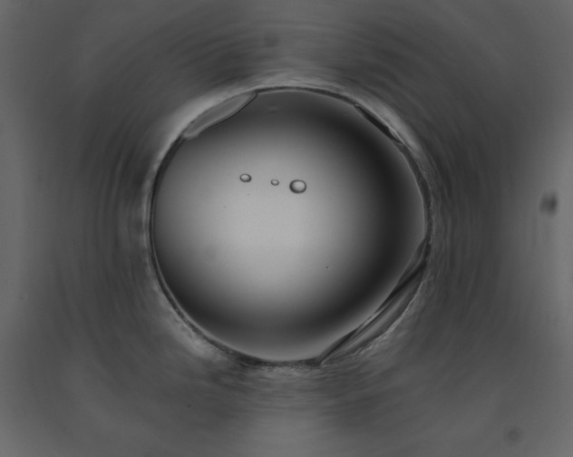 X0000091551246200708241748