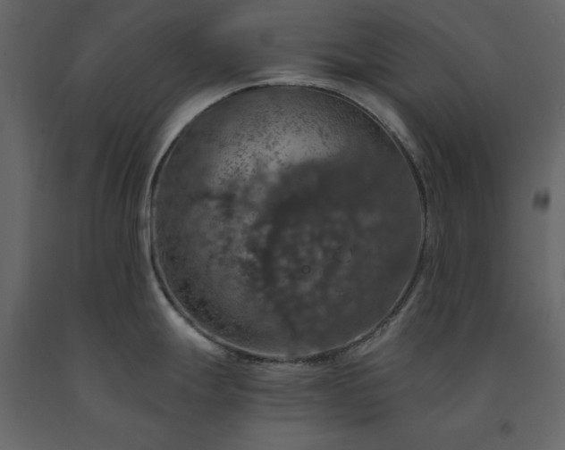 X0000091551247200708241748