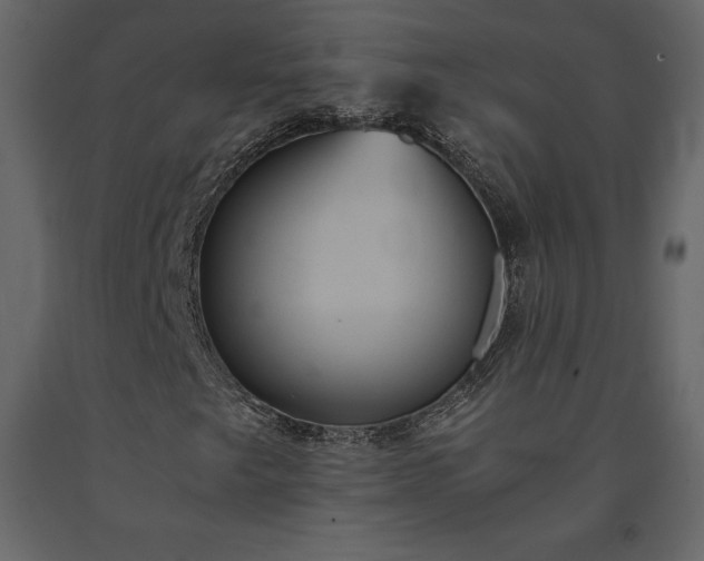 X0000091551249200708241747