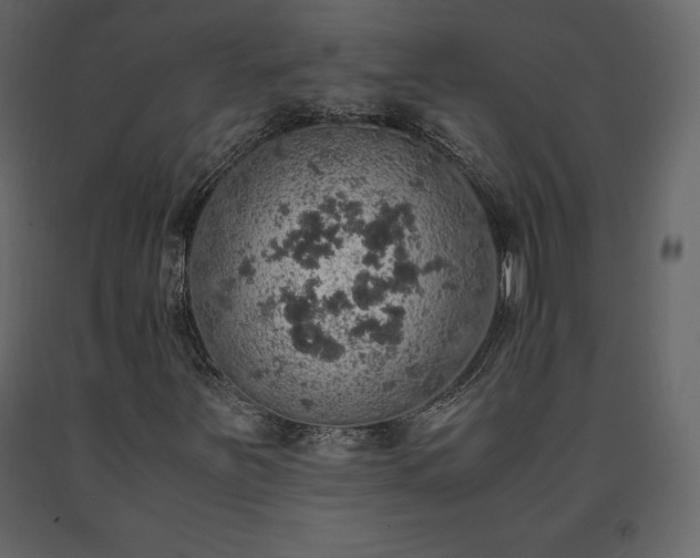 X0000091551251200708241747