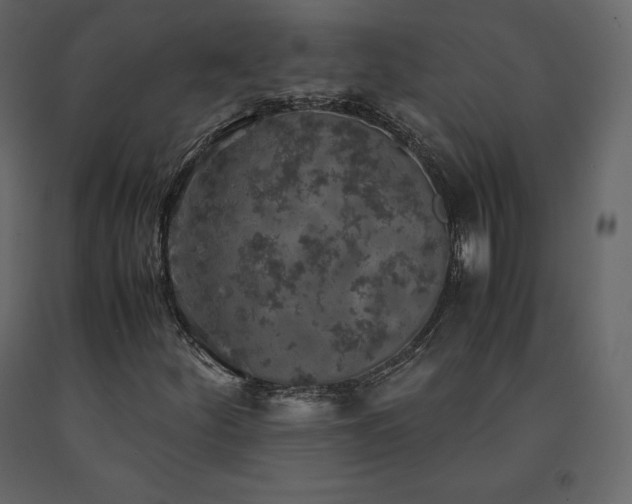 X0000091551252200708241747