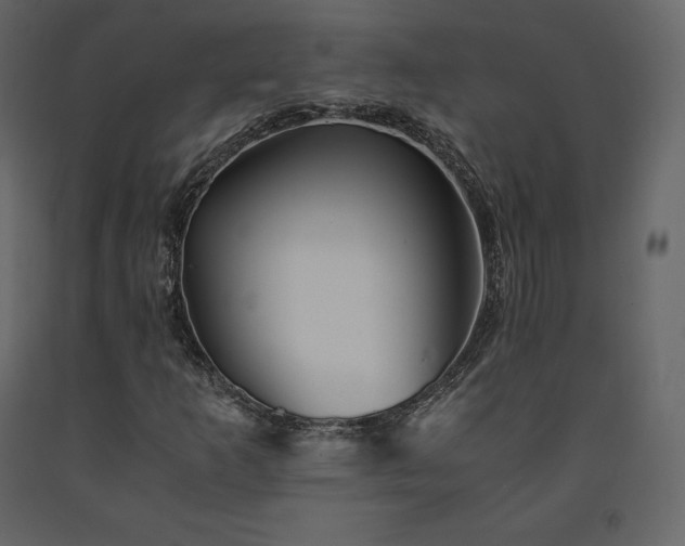 X0000091551253200708241747