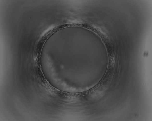 X0000091551254200708241747