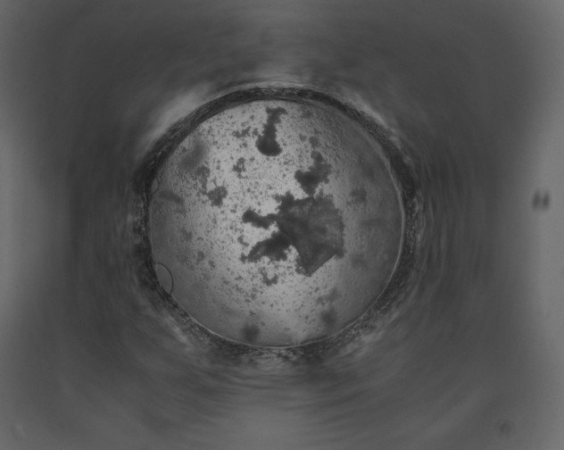 X0000091551255200708241747