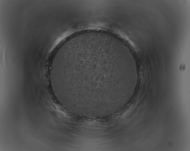 X0000091551256200708241747