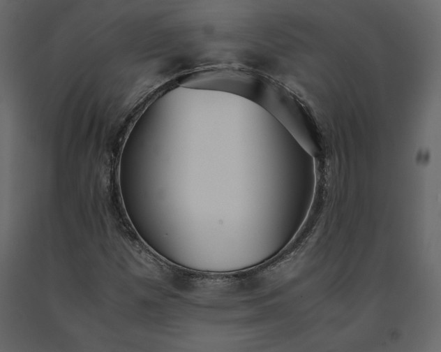 X0000091551257200708241747