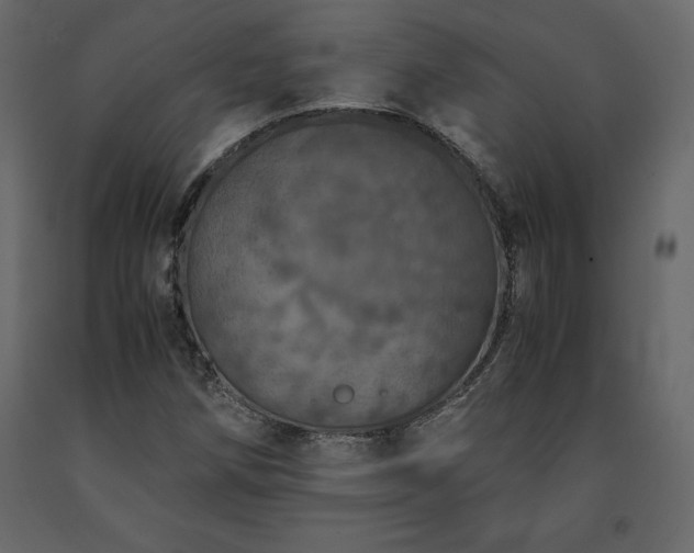 X0000091551258200708241747