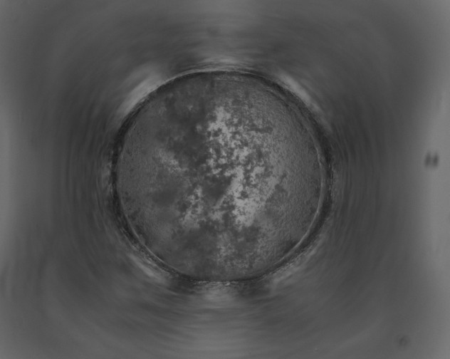X0000091551259200708241747
