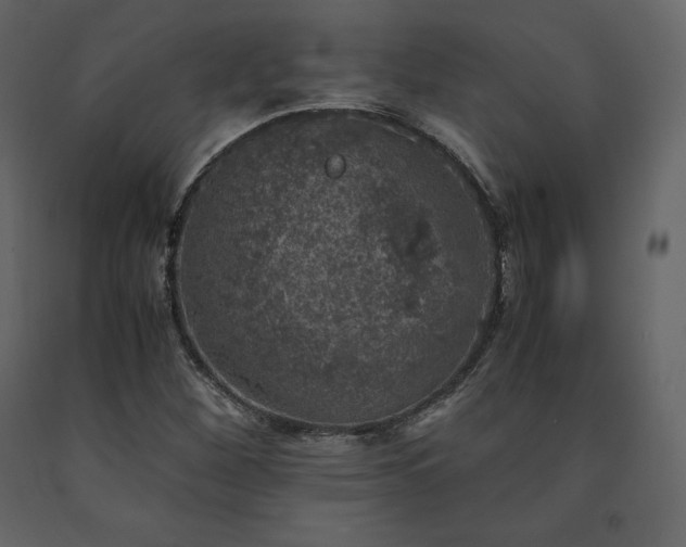 X0000091551260200708241747