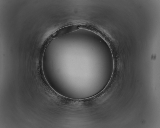 X0000091551261200708241747