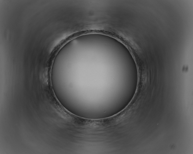 X0000091551262200708241747