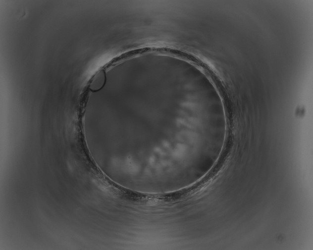 X0000091551263200708241747