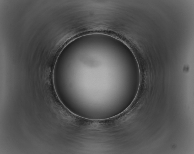 X0000091551265200708241747