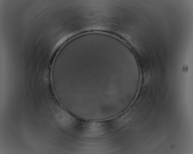 X0000091551266200708241747
