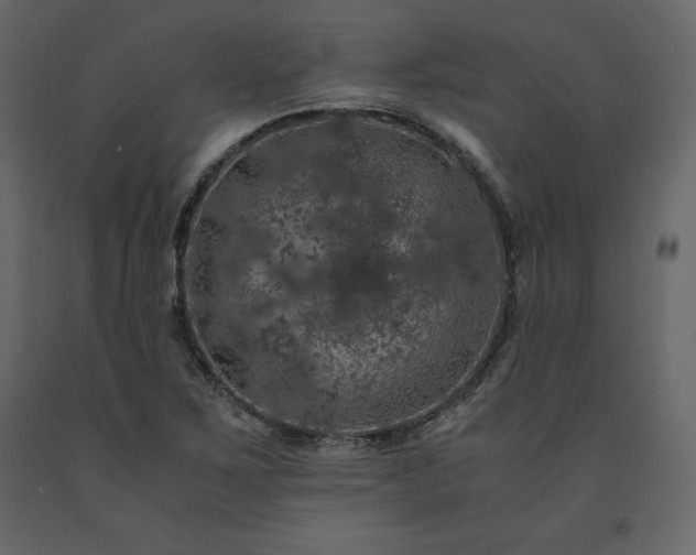 X0000091551267200708241747